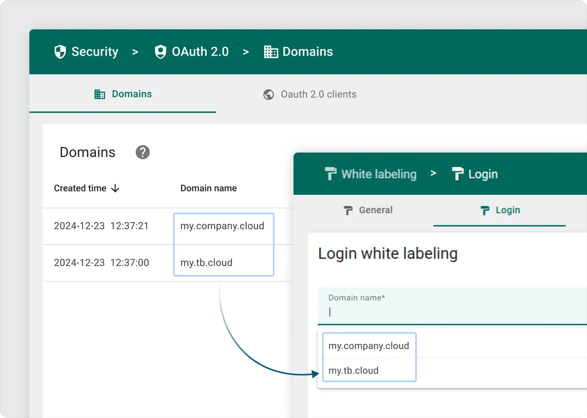 Domain management presented at ThingsBoard User Meetup 2025