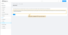 Copy the created API key and save it, we will need it for integration on ThingsBoard.