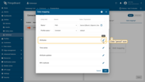 Click the “pencil” icon in the “Attributes” section to add new attribute key;