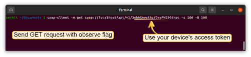 Subscribe to RPC commands from the server. To do this, in the first terminal window send GET request with observe flag