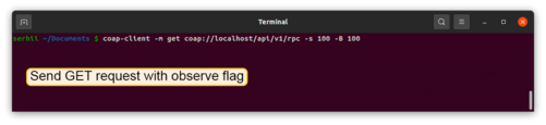 Subscribe to RPC commands from the server. To do this, in the first terminal window send GET request with observe flag