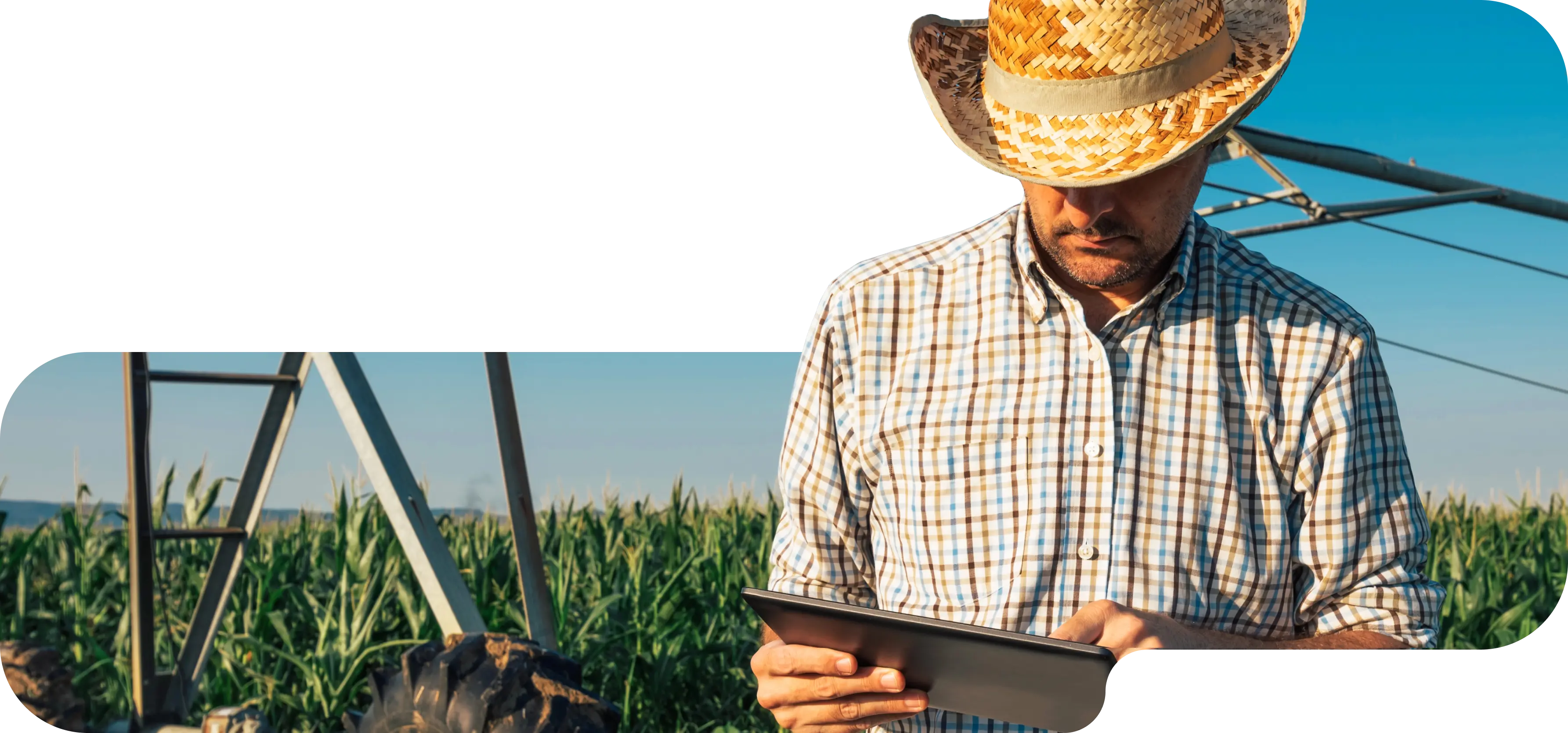 Smart farming in action: a farmer manages the field through a tablet