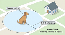 You are building a pet tracking solution. Each dog collar has a unique “Home Zone” defined by the owner (e.g., a 40-meter radius around their specific house).