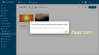 Confirm deleting the image in the dialog box