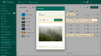 In this window, you can rename, download, export to JSON, embed, and update image.