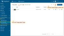 Go to the "Image gallery" page in the "Resources" section. Then, click the "Import image" icon in the top right corner of the screen;