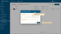 In the "Import image" window, upload a JSON image file and click "Import";