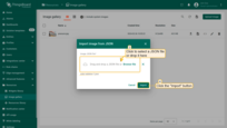 In the "Import image" window, upload a JSON image file and click "Import";